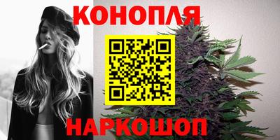 индика Абинск