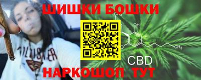 индика Абинск