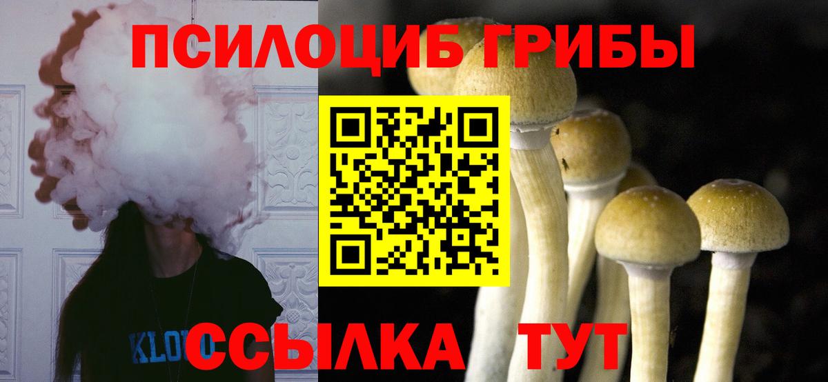 Галлюциногенные грибы Magic Shrooms Анапа